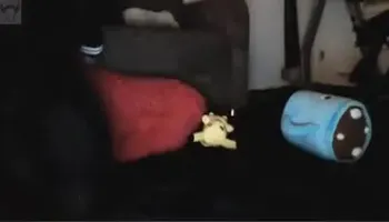 Crazy Amateur video with College, Solo scenes