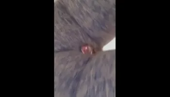 Chocolate ass shaking Compilation