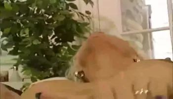 Kelly trump sex im auge des orkans