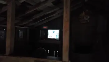 Bear gets pissed on in camping shower in public