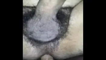 hairy bareback