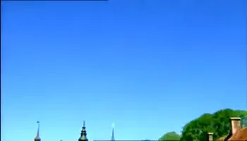 Danish Classic