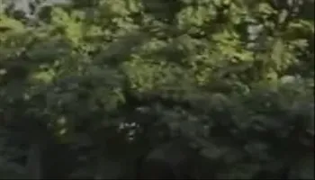 Ebony Girl Gagging Outdoors