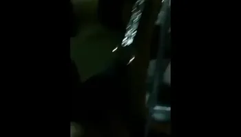 Bears Breeding in a Sling, No Pull Out