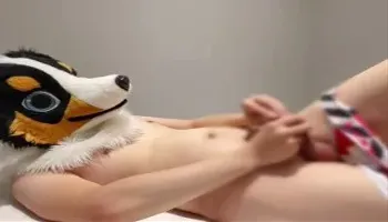 The puppy pees.