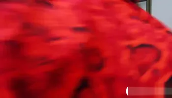 Four college teen bitches nasty groupsex in the bedroom