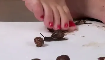 Anya B F Snails