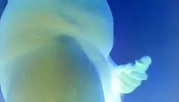 Negative Shot