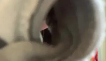 POV Panty Domination - OPEN YOUR MOUTH - Taste my WET soiled panties