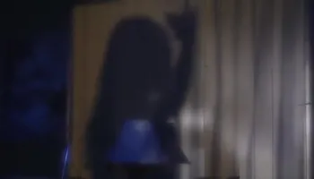 Dude with beard gets trannys cock