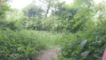 Cruising in the woods